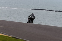 PJ-Motorsport-2019;anglesey-no-limits-trackday;anglesey-photographs;anglesey-trackday-photographs;enduro-digital-images;event-digital-images;eventdigitalimages;no-limits-trackdays;peter-wileman-photography;racing-digital-images;trac-mon;trackday-digital-images;trackday-photos;ty-croes